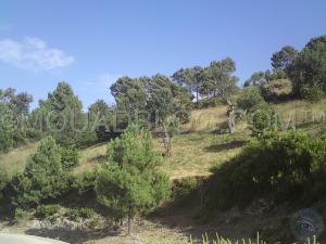 Nature Cachée de Skikda