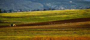 Agriculture à Skikda