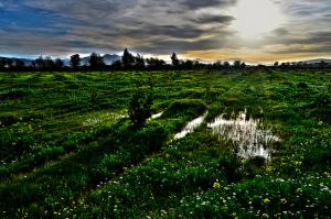 L'hiver Algérien à Skikda