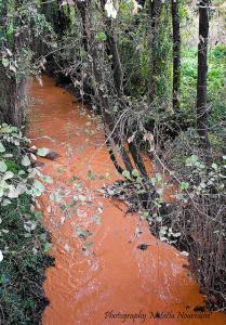 Oued Righa - Mines de Fer Fil Fila