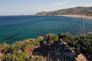 LA GRANDE PLAGE et SRIGINA