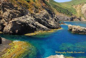 l'épine près de la grande plage