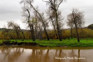Oued de la Grande Plage