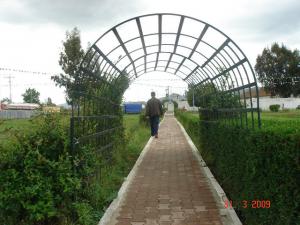 Skikda Carrefour Petite Zone