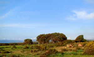 Wilaya de Skikda Boumaiza