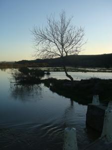 Vers la Marsa -Skikda-