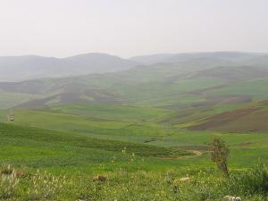 Pâturages de Skikda