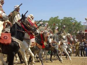 LE CHEVAL A L'HONNEUR  JUMENTERIE DE TIARET