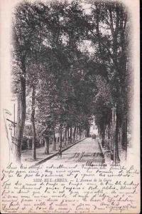 Ancienne Avenue à Sidi Belabbès