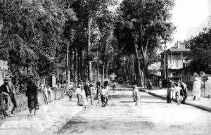 Avenue de Sidi Belabbès
