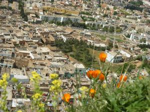Vue d'Ensemble de Sidi Belabbès
