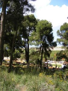 Forêt de Sidi Belabbès