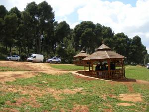 Forêt de Sidi Belabbès