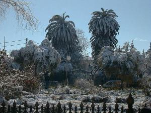 Sidi Bel Abbes Sous la Neige