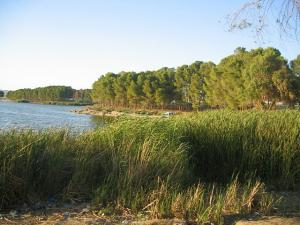 Lac Sidi-Mohamed Benali à Sidi Belabbes