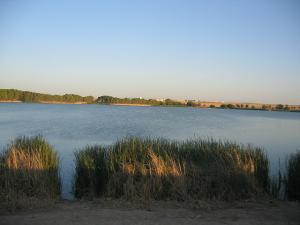 Lac Sidi-Mohamed Benali de Sidi Belabbes