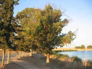 Lac Sidi-Mohamed Benali