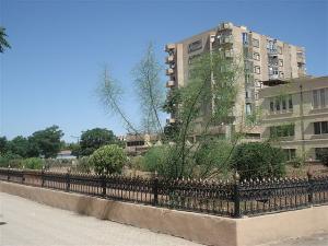 Sidi Bel Abbès - Face au Trianon