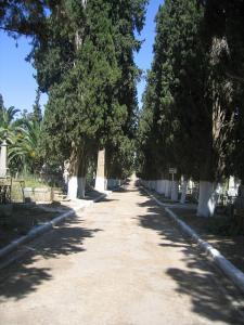 Allée du cimetière chrétien de Sidi Belabbes