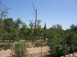 Allée des Jardins - Jardin Public