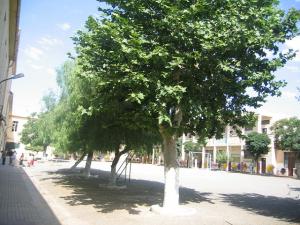 Avenue de l'ancienne école de garçons