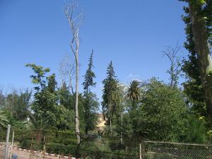 Jardin Public de Sidi Belabbes