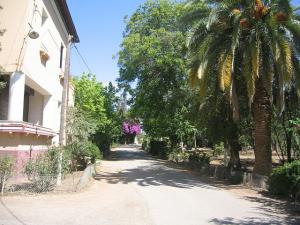 Jardin Public de Sidi Belabbes