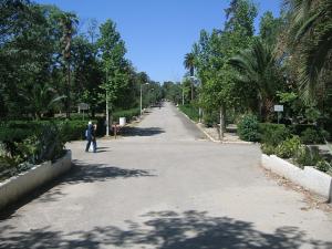 Jardin Public de Sidi Belabbes