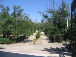 Jardin Public de Sidi Belabbes