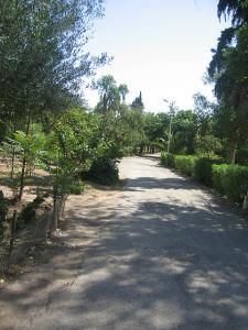 Sidi-Bel-Abbes - Vallée des Jardins - Jardin Public