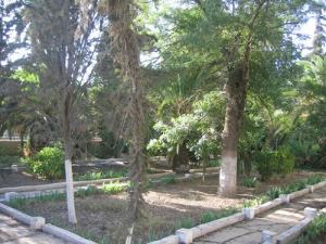 Sidi-Bel-Abbes - Calle del Sol - Lycée Leclerc