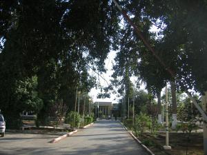 Sidi-Bel-Abbes - Maconnais - Jardins du Château Perret