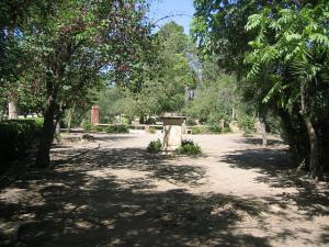 Sidi-Bel-Abbes - Vallée des Jardins - Jardin Public