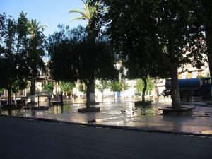 Sidi-Bel-Abbes - Centre Ville - Place Carnot