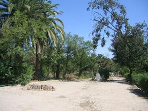 Sidi-Bel-Abbes - Vallée des Jardins - Jardin Public