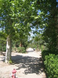 Sidi-Bel-Abbes - Vallée des Jardins - Jardin Public