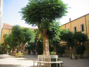 Sidi-Bel-Abbes - Centre Ville - Collège de Jeunes Filles