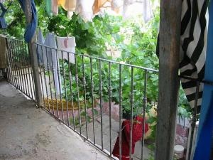 Sidi-bel-Abbes - 17 ave Kléber - la galerie