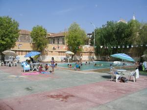 Sidi-Bel-Abbes - Centre Ville - Complexe Jeunesse et Sport - Piscine