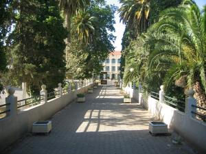 Sidi-Bel-Abbes - Calle del Sol - Lycée Leclerc - Allée Centrale