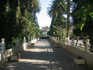 Sidi-Bel-Abbes - Calle del Sol - Lycée Leclerc - Allée centrale