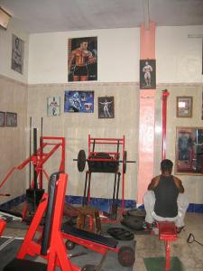 Sidi-Bel-Abbes - Les Amarnas - 20 , rue du Havre - Salle de Musculation