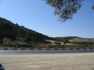 Sidi-Bel-Abbes - Sur la route d' Oran - autour de l'Orange