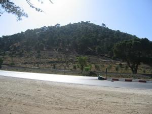 Sidi-Bel-Abbes - Sur la route d' Oran - autour de l'Orange