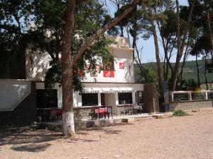 Sidi-Bel-Abbes - Sur la route d'Oran - L'Orange de Oued-Imbert