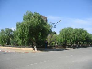 Sidi-Bel-Abbes - Centre Ville - Ave du Mal Foche vers le Fg Thiers