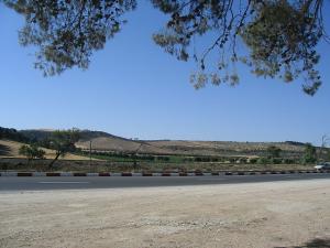 Sidi-Bel-Abbes - Sur la route d' Oran - autour de l'Orange