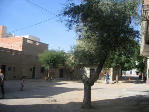 Sidi-Bel-Abbes - Bario Alto - les 3 places de l'Ave Gal Bedeau