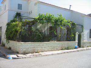 Sidi-Bel-Abbes - Les Amarnas - 20 , rue du Havre - Maison M. Michel Roger