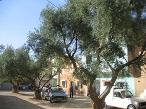 Sidi-Bel-Abbes -Bario Alto - les 3 places de l'Ave Gal Bedeau